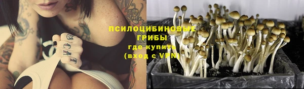 эйфоретик Сафоново