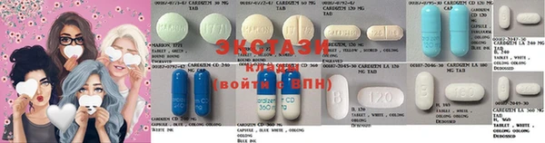 прущие грибы Вязьма