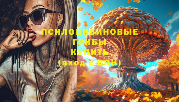 стафф Володарск