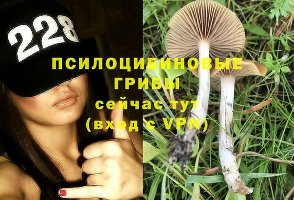 героин Вяземский