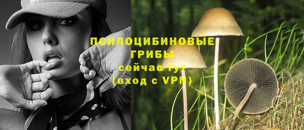 эйфоретик Сафоново